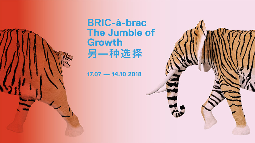 BRIC-à-brac – The Jumble of Growth – 另一种选择