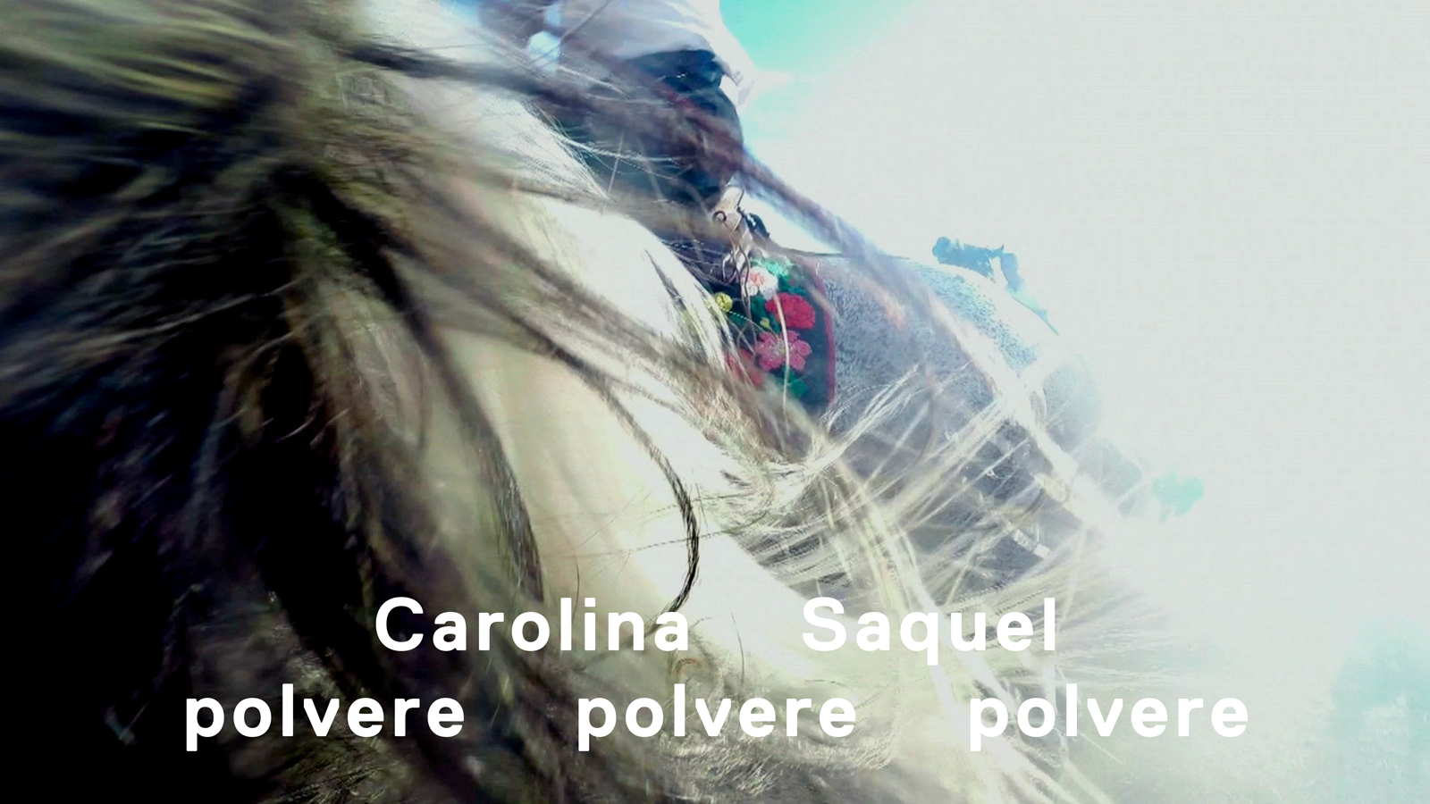 Carolina Saquel – polvere polvere polvere